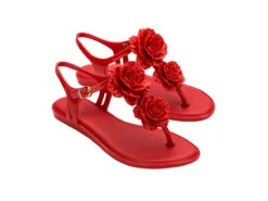 Melissa Solar Springtime -Melissa Sales Store 0O4ZSLb5N U7etIq xdDdx4QI 30412.1710848266