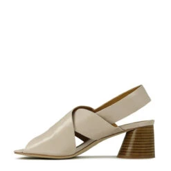 PETAL -Melissa Sales Store 20fIGVEAFu6lbLRIvYu ZJEdY 21422.1710415844