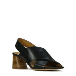 PETAL -Melissa Sales Store BxoSoQY oD 5d7KsvsUqT8d2I 04080.1710415852