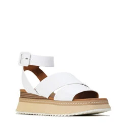 TONALITY -Melissa Sales Store ChNA7FVZeIRjF m5spPRVuqk0 29434.1710848146