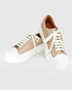 Just A Dream Croc Leather Sneaker - Blush -Melissa Sales Store KMmZS1UjkOjWO2D5Xo1bPmykI 77567.1711020537