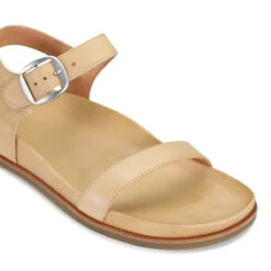 CAROUSEL 37 CAROUSEL -Melissa Sales Store PUCKW2648qhswnupGPejGaf7A 39891.1710938066