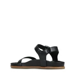 CAROUSEL 30 CAROUSEL -Melissa Sales Store THUshQHRkNRNFs8bUzS0aK0M8 33244.1710938062