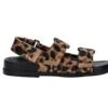 Melissa Papete Pretty Print - Leopard