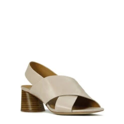 PETAL -Melissa Sales Store ceZllmqgRorQGkX puT464DoM 87763.1710415845