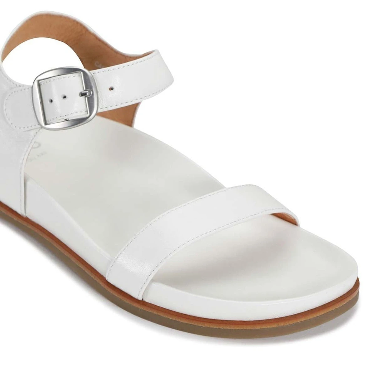 CAROUSEL 13 CAROUSEL - Image 13