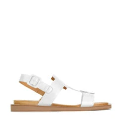 MONIE -Melissa Sales Store gAgO4dHae2EJ6ovPfDP9Q7JQA 94095.1711107323