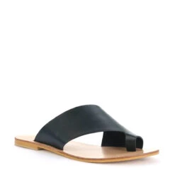 TOORAK -Melissa Sales Store h kxWhEMSFhdex5p2f4a4NeA0 62604.1710502721