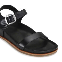 CAROUSEL 27 CAROUSEL -Melissa Sales Store jTNJnNZGOK7eruJ2dAmlaIUVo 86532.1710938061