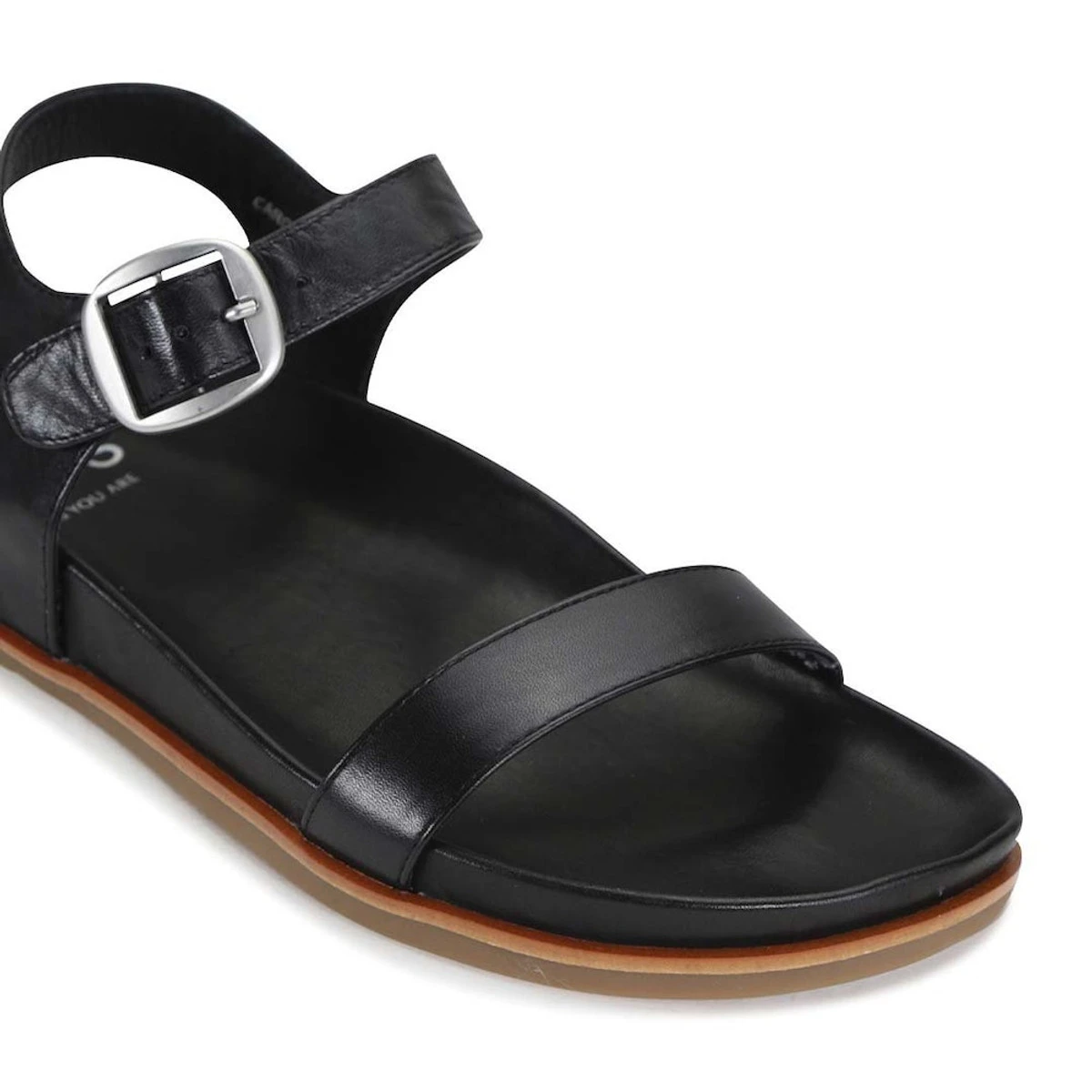 CAROUSEL 8 CAROUSEL - Image 8