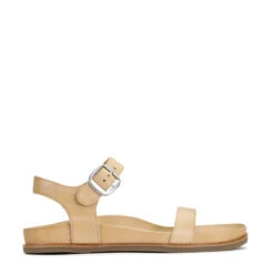 CAROUSEL 36 CAROUSEL -Melissa Sales Store lB6OUDyyGhNLJ9hWDQPxoyrQo 19789.1710938066