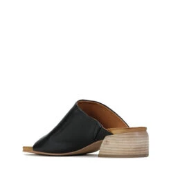 SALMA -Melissa Sales Store qSLCfnjpC tPLXGEFbeODTPhE 18832.1710415896