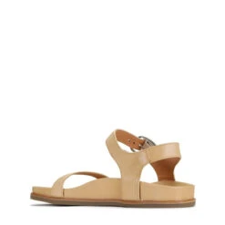 CAROUSEL 39 CAROUSEL -Melissa Sales Store sLSA 8ApSY BqzH913fvYOizY 82673.1710938067