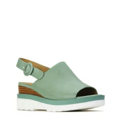 JARDON -Melissa Sales Store sa8U5qDcDi894IBzB0ED4dPZ8 52948.1710761111